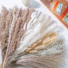 Ramo de hierba de junco artificial marrón de 43.18cm, hierba de cola de conejo de gran capacidad, junco natural esponjoso de estilo bohemio, decoración para boda, hogar, escritorio y fiesta (estilo clásico) - Café integral - Ver 4