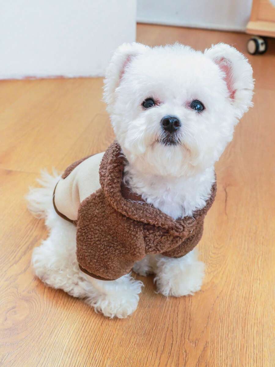 1 buah Pakaian Hewan Peliharaan Anjing Kucing Musim Gugur Musim Dingin Hangat Bulu Domba Tebal Gaya Korea - Topi Kopi - Coffee Brown - View 1