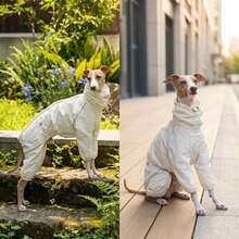 全包覆式四足格雷獵犬連身衣，可調節抽繩高領與彈性褲腳，防風寵物衣，適合義大利格雷獵犬與惠比特犬，日常散步與戶外穿著 - 白色 - 查看 3