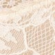 Apricot Lace