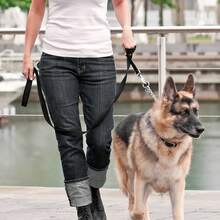 Pet Leash - Portable Dog Walking Rope, Easy To Use, Adjustable Length, Durable And Sturdy, Suitable For Small Dogs, Medium Dogs, Cats, And Other Pets - Multicolor - View 7