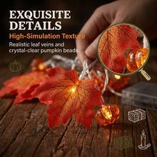 LED Thanksgiving & Autumn Decorative String Lights - Battery Powered, Pumpkin & Maple Leaf Design - Multicolor - View 1