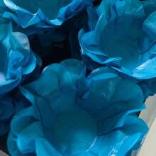 azul turquesa