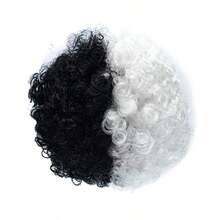 Pet Wig For Cats And Dogs, Afro Style, Halloween Cosplay, Pet Prop, Black And White Witch Costume, Funny Show Outfit - Multicolor - View 4