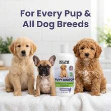 Puppy Shampoo &Amp; Conditioner | Made In USA | Tear Free | Best Shampoo For Puppies | Sensitive &Amp; Itchy Skin Wash | Oatmeal Bathing | Tearless, Lavender, 8oz [We Love Doodles] - ColorA - View 6