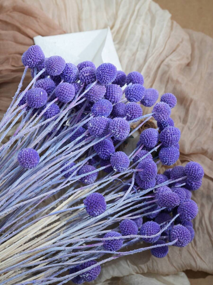 10/20pcs Artificial Craspedia Yellow Billy Ball Flower Heads, Large Diameter Approx 1-1/2 Inch, For Home Decor, Photo Props, DIY Wedding Decoration - Purple - View 1