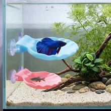 1件裝逼真貝殼造型魚床裝飾,吸盤安裝水族裝飾,適合鬥魚和小魚,產卵與休息遮蔽處,水下棲息地配件水族配件,蜥蜴與爬蟲類休息平台 - A - 查看 7