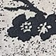 彩色
