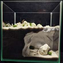 3D方形多孔躲避洞穴 | 材質 | 適用於壁虎、角蛙、觀賞魚和蝦 | 爬寵缸、水族缸 | 3D造型設計 - 查看 1