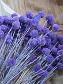 10/20pcs Artificial Craspedia Yellow Billy Ball Flower Heads, Large Diameter Approx 1-1/2 Inch, For Home Decor, Photo Props, DIY Wedding Decoration - Purple - View 5