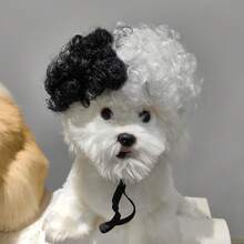 Pet Wig For Cats And Dogs, Afro Style, Halloween Cosplay, Pet Prop, Black And White Witch Costume, Funny Show Outfit - Multicolor - View 6