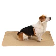 Washable Reusable Pet Dog Mat, Non-Slip Large Dog Pad, Absorbent Leak-Proof Training Pad, Suitable For Pet Cages, Fences, Pet Beds, Sofas - Khaki - View 5