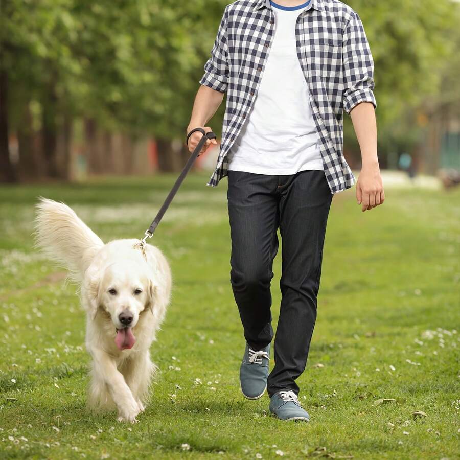 Pet Leash - Portable Dog Walking Rope, Easy To Use, Adjustable Length, Durable And Sturdy, Suitable For Small Dogs, Medium Dogs, Cats, And Other Pets - Multicolor - View 1