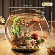 Round Transparent Beta Fish Tank Home Decor Small Ornamental Fish Tank Desktop Fish Tank - Multicolor - View 9