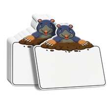 Quixorblex 10/20Pcs Reusable Double Sided Blank Dry Erase Flashcards With Markers, Cute Groundhog Laminated Writing Cards, Classroom Learning Teaching Aid, Teacher Supplies For Home Back To Class - Multicolor - View 7