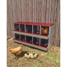 10-Hole Galvanized Chicken Nesting Box – Roll Away Egg Collection Tray – Rustproof, Waterproof, Ventilated – Includes Perch Rod – Wall-Mountable Laying Box For Hens - Red - View 7