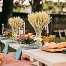 Natural Dried Wheat Set With 100 Stalks (40 Cm), Decorative Wheat Bundles For Table Decoration, Kitchen, Fireplace, Country House & Autumn Decoration - Dry Wheat - View 4