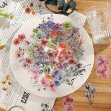 40pcs/Pack Vintage Floral Plant Notebook Decorative Stickers PET Material Decorative Stickers Suitable For Scrapbook Labels, Diary, Stationery, Photo Album, Phone Book, Notebook, Planner, Back To School School Supplies - Multicolor - View 4