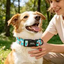 Elegant Little Tail Blue Dog Collar Cute Ladybug Print Fabric Pet Collar Adjustable Soft Pet Collar For Small Medium Large Dogs - Sky Blue - View 6