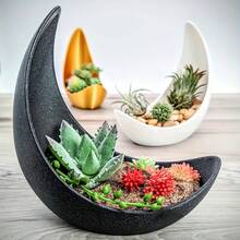 Chậu trồng cây hình trăng lưỡi liềm bóng loáng, bát trang trí nhỏ cho cây mọng nước và cây không khí, đồ trang trí bàn làm việc hiện đại cho nhà và văn phòng - mặt trăng - Xem 3