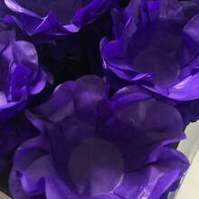 roxo (violeta)