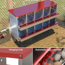 10-Hole Galvanized Chicken Nesting Box – Roll Away Egg Collection Tray – Rustproof, Waterproof, Ventilated – Includes Perch Rod – Wall-Mountable Laying Box For Hens - Red - View 6
