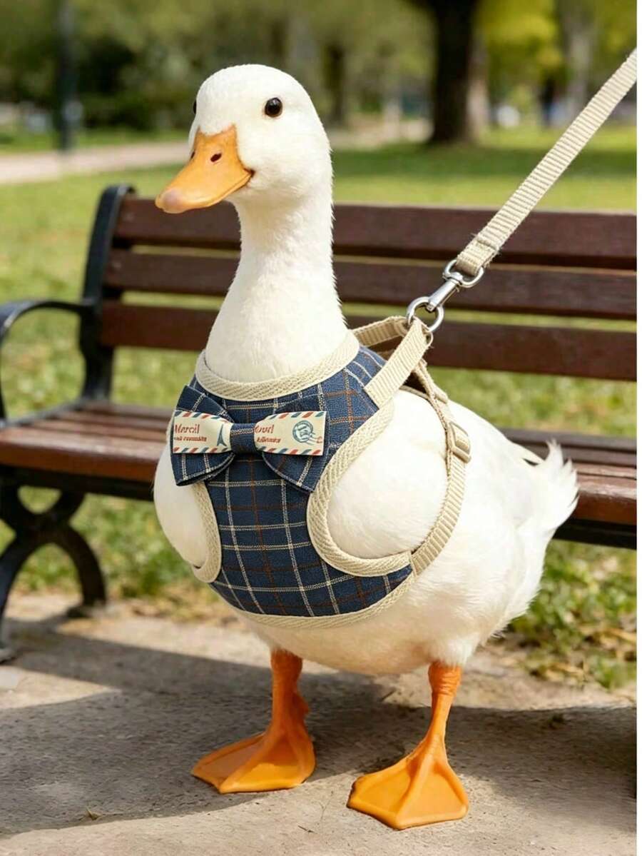 1pc Adjustable Duckling Clothes With Leash, Essential Outdoor Pet Accessory For Male And Female Ducklings, Cute Decorative Rope - Blue Plaid - View 1