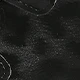 Black Leopard Print