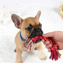 Wang Meow Pet 2 piezas de juguetes de cuerda tejida a mano de color aleatorio, accesorios de cuerda divertidos para dentición y juego, adecuados para perros pequeños, suministros para mascotas del hogar - Multicolor - Ver 4