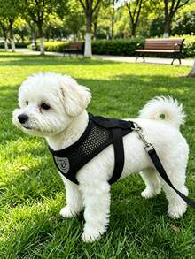 1pc Breathable Comfortable Pet Harness, Suitable For Dog And Cat Walking, Outdoor Anti-Explosion Shock-Absorbing Leash, Black Vest-Style Harness - Black - View 5