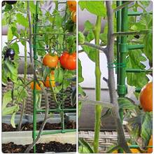100 Feet Green Soft Twist Garden Tie For Supporting Climbing Plants, Tomatoes And Vegetables, Flexible Plant Binding Tape With 2.5mm Diameter - 100feet - View 5