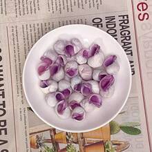 10pcs Light Purple Shells | Suitable For Fish Tank Aquarium Micro Landscape Decoration - Mini Hermit Crab Shell Replacement, Handmade DIY Niche Home Decor, Shell Wind Chime, Ocean Theme Party Decoration - Set - View 9