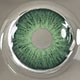 FSC-sAHARA-gREEN