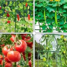 50PCS Round Plant Support Stakes, Vegetable, Fruit Climbing Vine Support Rods, For Orchard, Outdoor Flower Bed - A - View 8