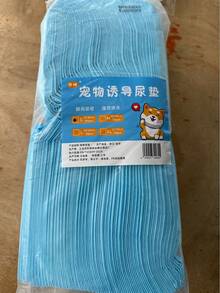 Pet Training Pads, Dog Pee Pads, Bulk Thickened Absorbent Pads, Puppy Training Pads - S - View 6