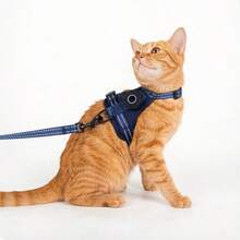 Pet Harness & Leash Set With GPS Protective Cover, Adjustable Cat Dog Walking Kit, Reflective Straps, Breathable Design - Pink - View 4