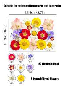 DIY 壓花套裝－幼兒教育輔助與手工套件，內含隨機玫瑰貼紙及製作四季花瓣標本與書籤的材料，適合男孩女孩的趣味可愛創意禮物 - 彩色 - 查看 19