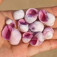 10pcs Light Purple Shells | Suitable For Fish Tank Aquarium Micro Landscape Decoration - Mini Hermit Crab Shell Replacement, Handmade DIY Niche Home Decor, Shell Wind Chime, Ocean Theme Party Decoration - Set - View 8