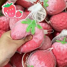 Squishy & Decompress Creme de Morango para Apertar, Brinquedo Sensorial Criativo de Alívio de Estresse com Fluido de Morango, Brinquedo de Dedo, Portátil, Presente de Aniversário e Feriado para Amigos e Família - Multicolorido - Visão 6