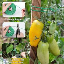 100 Feet Green Soft Twist Garden Tie For Supporting Climbing Plants, Tomatoes And Vegetables, Flexible Plant Binding Tape With 2.5mm Diameter - 100feet - View 7