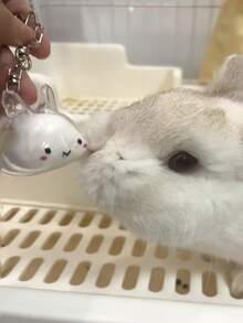 Bunny Pet Hair Keepsake Keychain, Transparent Rabbit Fur Storage Bottle With Clip, Cute Animal Memorial Pendant, Pet Hair Collection Charm Gift For Cat Dog Rabbit Lovers - White - View 5