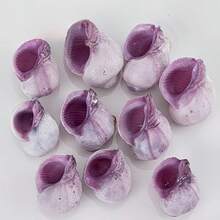 10pcs Light Purple Shells | Suitable For Fish Tank Aquarium Micro Landscape Decoration - Mini Hermit Crab Shell Replacement, Handmade DIY Niche Home Decor, Shell Wind Chime, Ocean Theme Party Decoration - Set - View 11