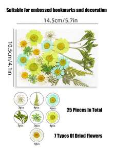 DIY 壓花套裝－幼兒教育輔助與手工套件，內含隨機玫瑰貼紙及製作四季花瓣標本與書籤的材料，適合男孩女孩的趣味可愛創意禮物 - 彩色 - 查看 18