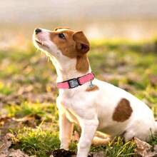 Reflective Dog Collar, Reflective Line Pet Dog Supplies, Pet Collar Neck Collar Neck Sleeve, Adjustable Size For Large, Medium And Small Dogs, Halloween, Christmas - Pink - View 8