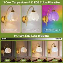 Lampu Dinding Bertenaga Baterai, Lampu Dinding Pengisian Nirkabel Warna Emas dengan Bohlam 2000mAh yang Dapat Dilepas dan Dapat Diredupkan serta Kontrol Jarak Jauh, Dekorasi Dinding 15 Warna, Cocok untuk Kamar Tidur, Ruang Tamu, Lorong - Beraneka warna - View 5
