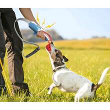 Giocattoli da masticare per cani - 1 - Visualizzare 4