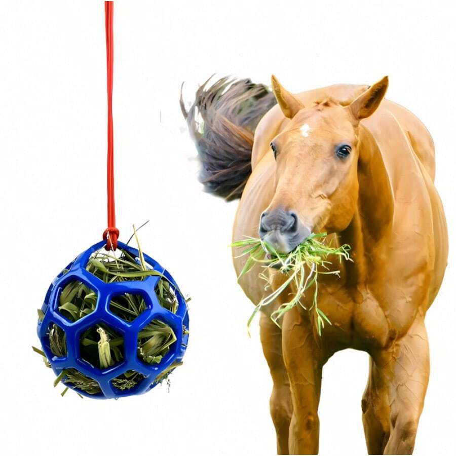 Horses Feeding & Watering Equipment - 1 - View 1