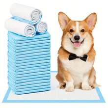 1pc/20pcs/40pcs Pet Pee Pads Dog Training Pads, Thickened Pee Pads, No Leakage, Essential For Pet Owners, Keep Your Home Environment Clean And Odor-Free, Best Gift For Dogs, Pet Supplies, Pet Pee Pads - one-size - View 13