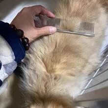 1pc Heavy Duty Professional Cat & Dog Universal Comb - Stainless Steel Dense Tooth Design, Suitable For Long, Thick Curly Or Straight Hair - Friction-Reducing Design, Ideal For Professional And Home Use - Perfect Choice For Pomeranian, Samoyed, Afghan Hound - Durable Pet Grooming Tool, Comfortable Handle Comb, Suitable For Deshedding And Trimming - Silver - View 10