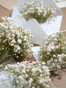 Green Stem White Baby's Breath